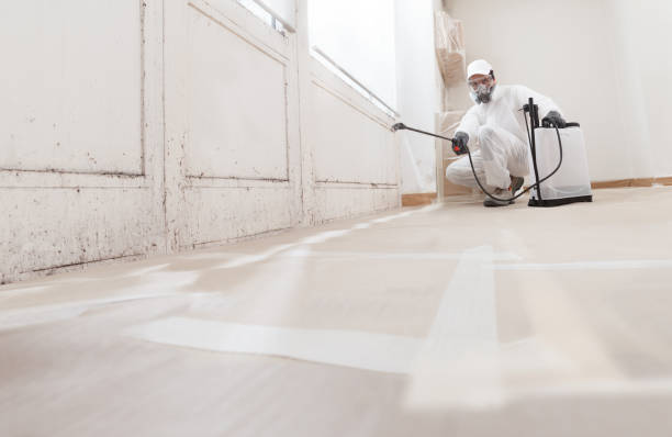 24/7 Emergency Basement Mold Remediation experts in Oakland, PA
